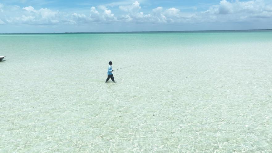 DRONE SCREENGRABS.00_07_45_20.Still040