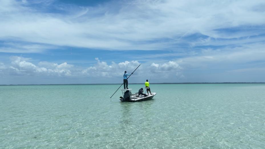 DRONE SCREENGRABS.00_08_37_21.Still045