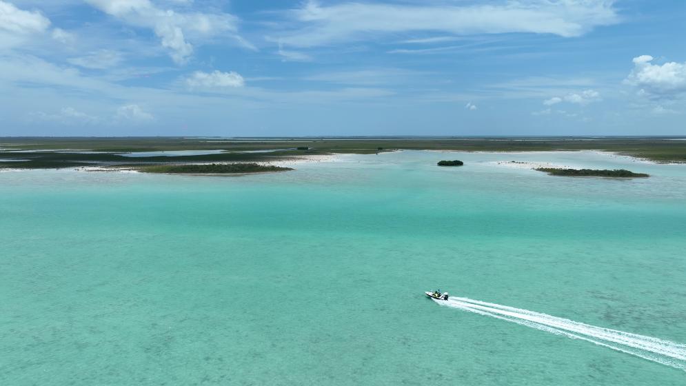 DRONE SCREENGRABS.00_09_11_12.Still048