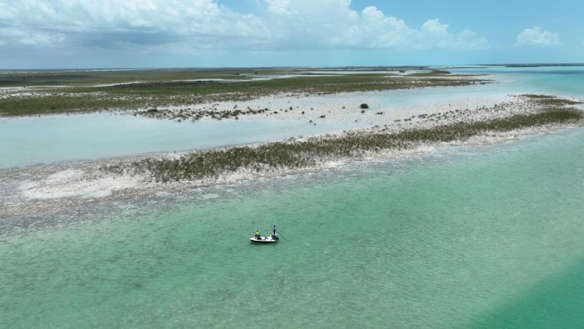 DRONE SCREENGRABS.00_09_48_15.Still049