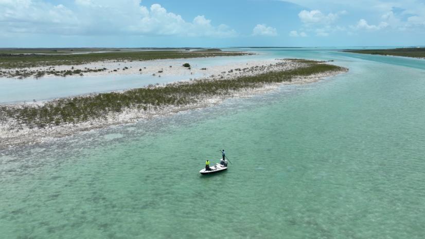 DRONE SCREENGRABS.00_09_53_23.Still050