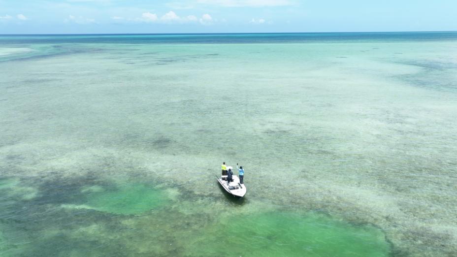 DRONE SCREENGRABS.00_10_32_22.Still052