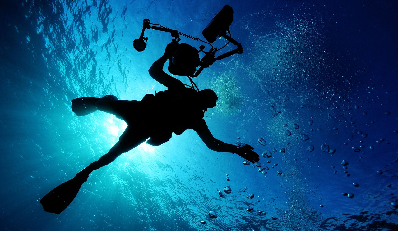 scuba diving, swimming, sea, ocean, water, underwater, underwater diving, diver, nature, diving, recreational activity